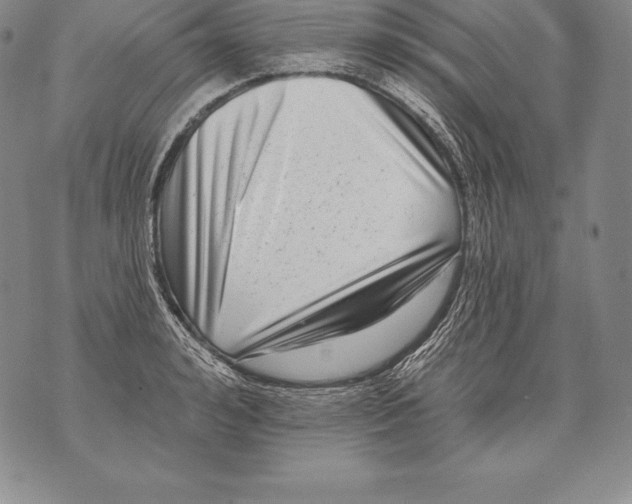 X0000076100992200610152339