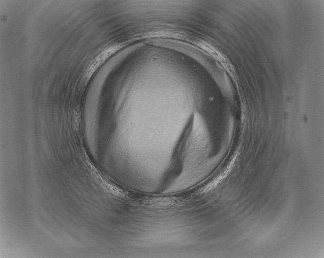 X0000076100993200610152339