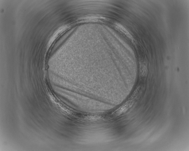 X0000076100994200610152339