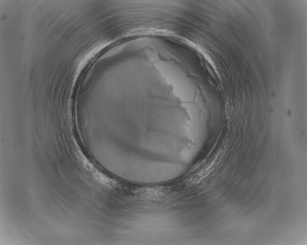 X0000076100995200610152339