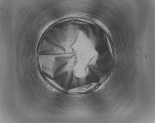 X0000076100996200610152339