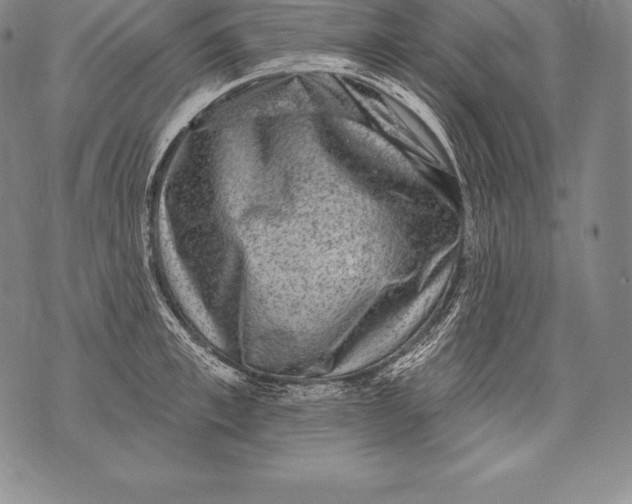 X0000076100997200610152339