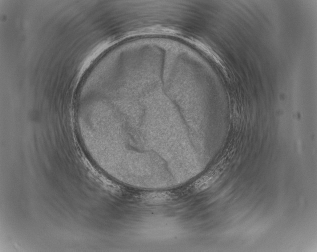 X0000076100998200610152339