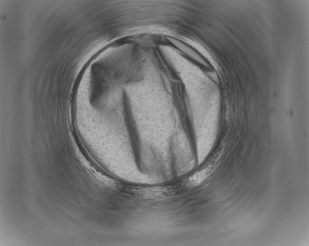 X0000076100999200610152339