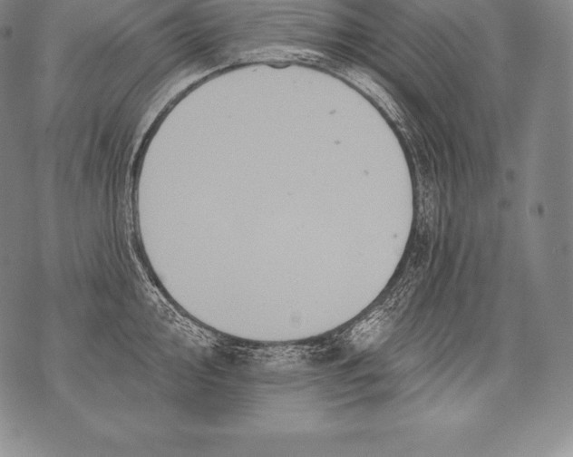 X0000076101000200610152339