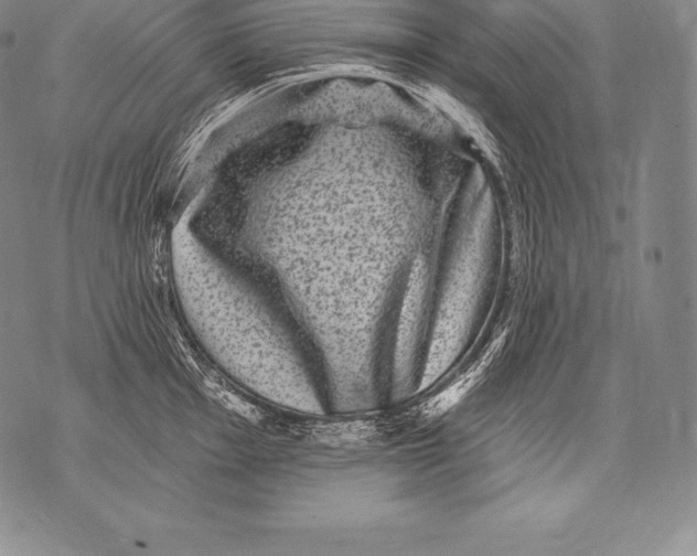 X0000076101001200610152339