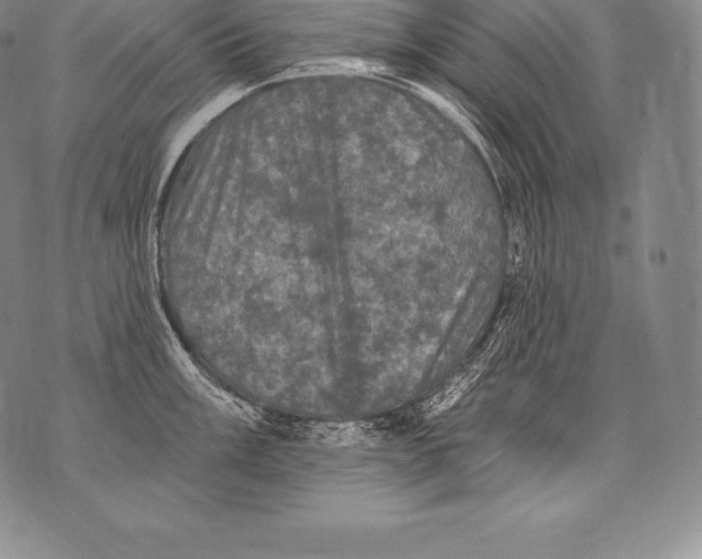 X0000076101003200610152339