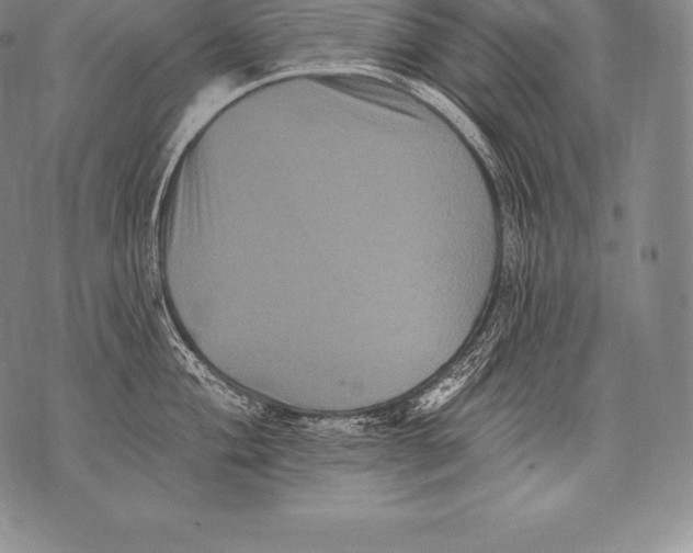 X0000076101004200610152339