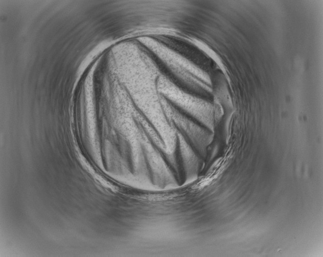 X0000076101005200610152339