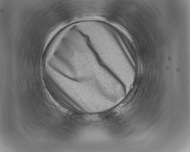 X0000076101006200610152339