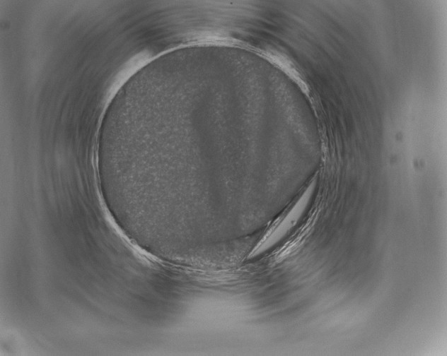 X0000076101007200610152338