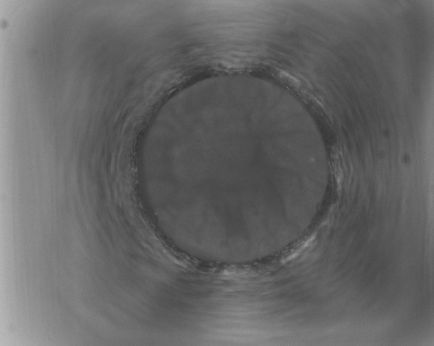 X0000076101009200610152338