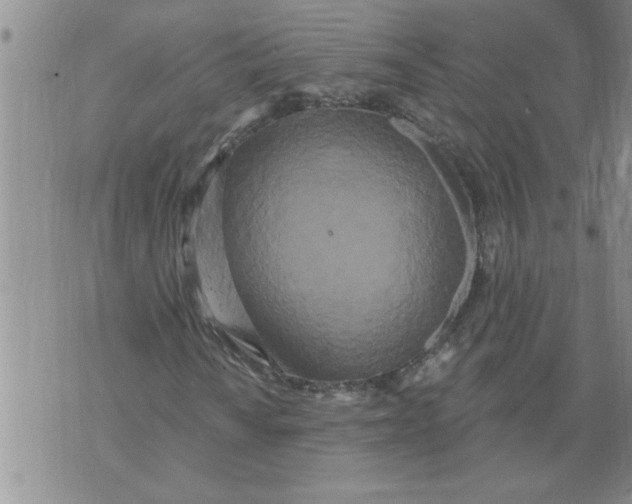 X0000076101010200610152338