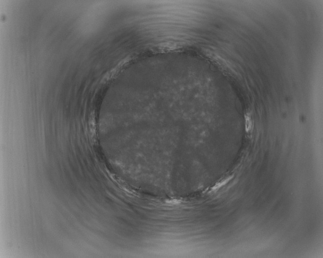 X0000076101011200610152338