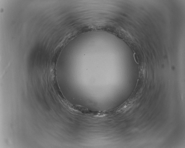 X0000076101012200610152338