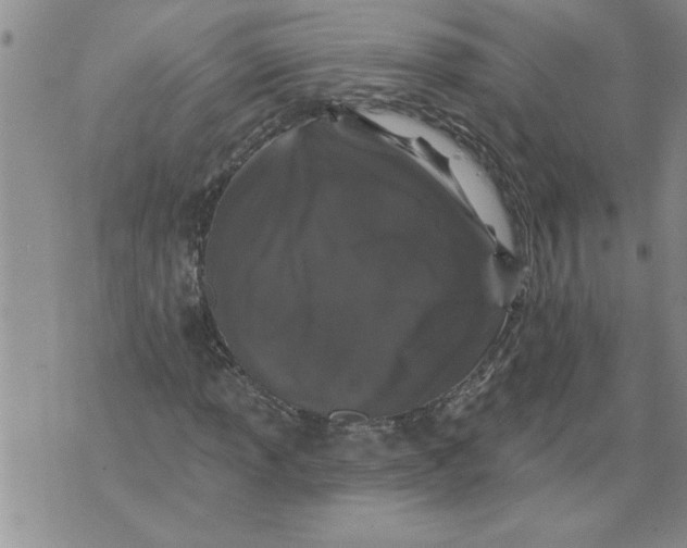 X0000076101013200610152338