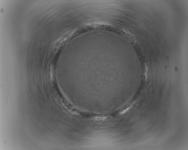 X0000076101014200610152338