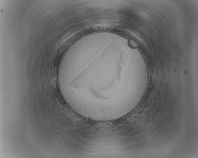 X0000076101015200610152338