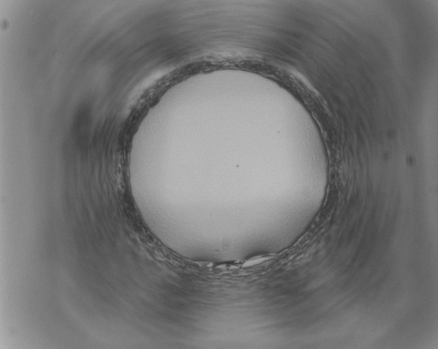 X0000076101016200610152338