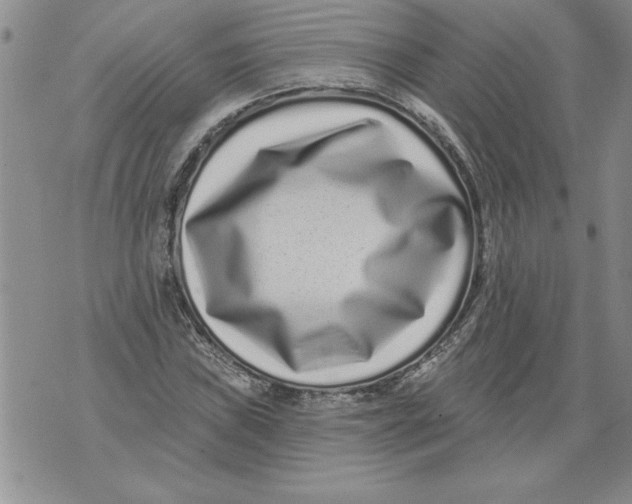 X0000076101019200610152338