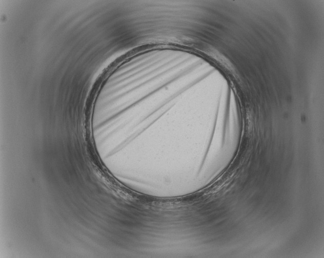 X0000076101020200610152338