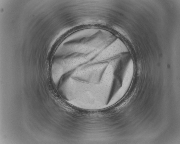 X0000076101021200610152338