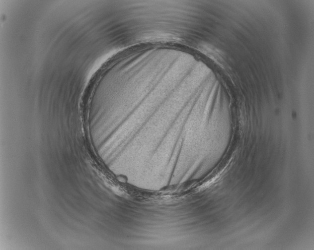 X0000076101022200610152338