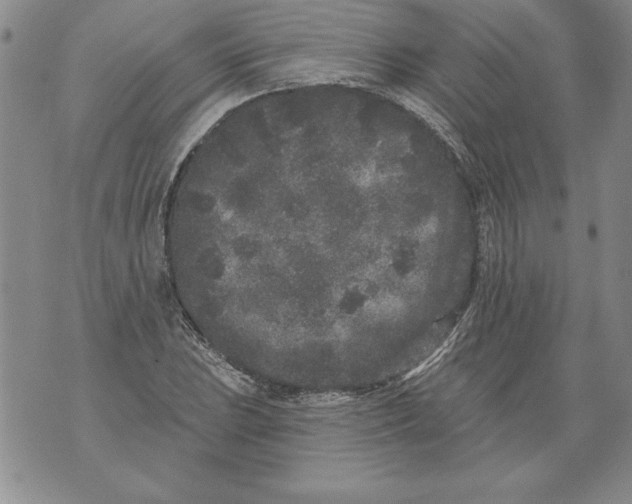 X0000076101023200610152338