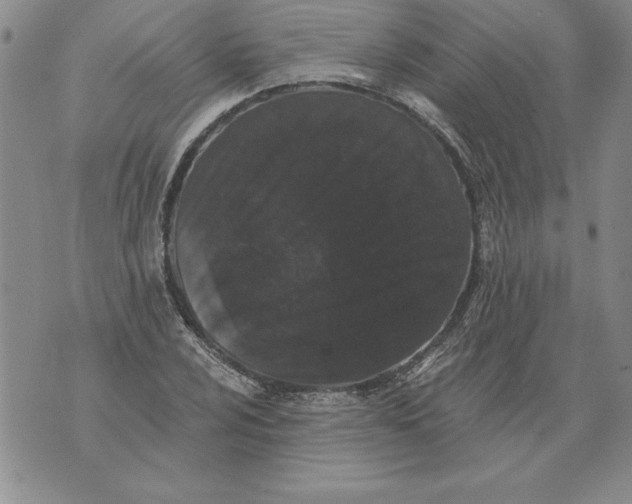 X0000076101024200610152338