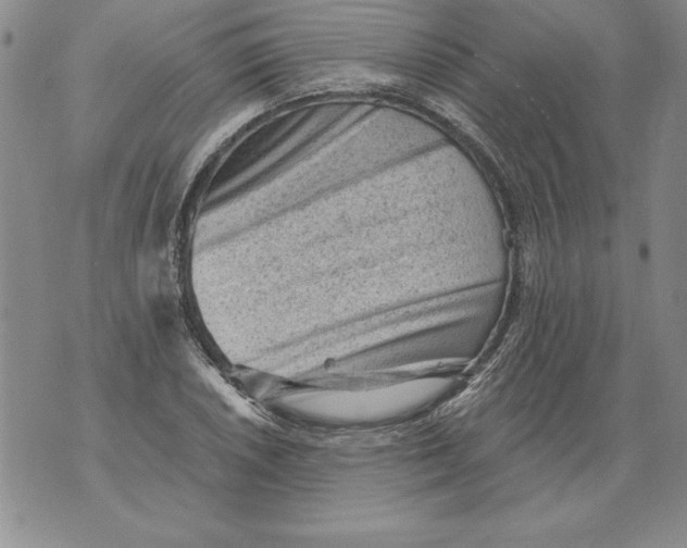 X0000076101026200610152338