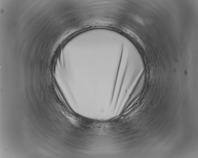 X0000076101027200610152338