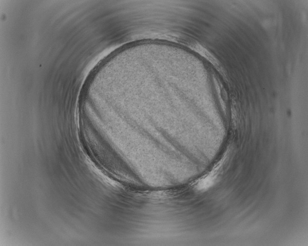 X0000076101028200610152338