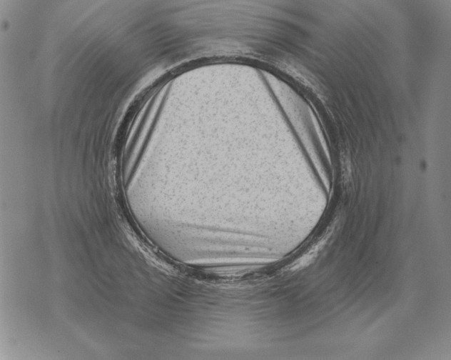 X0000076101029200610152338