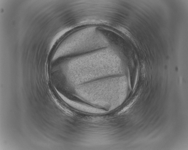 X0000076101030200610152338