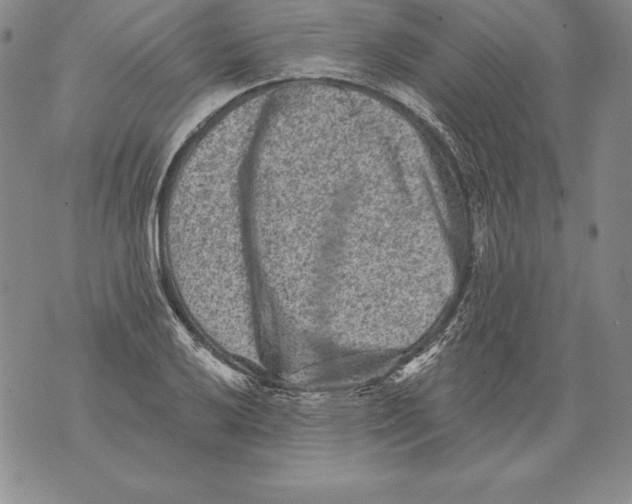 X0000076101032200610152338