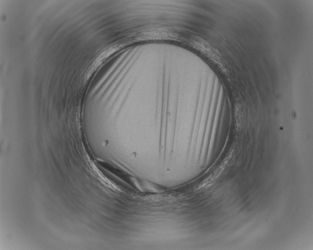 X0000076101033200610152338