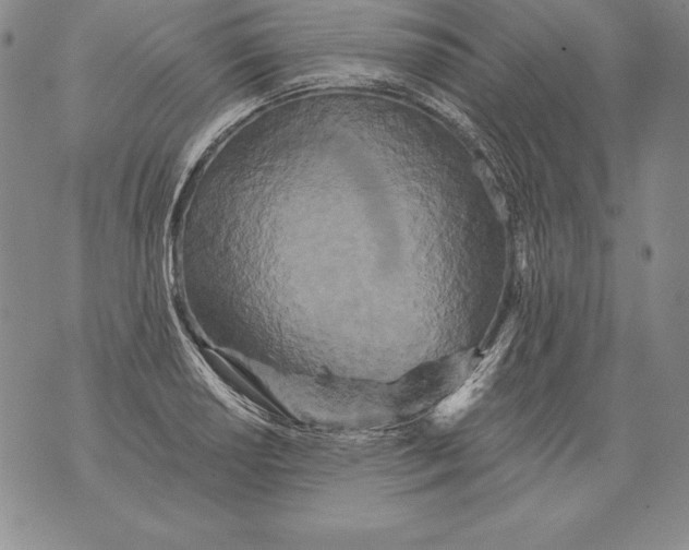 X0000076101034200610152338