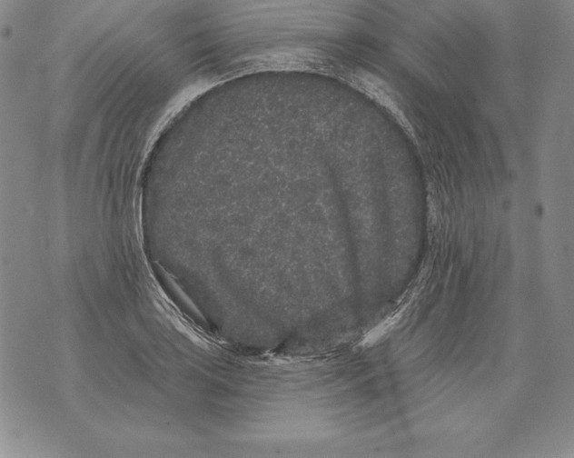 X0000076101035200610152338