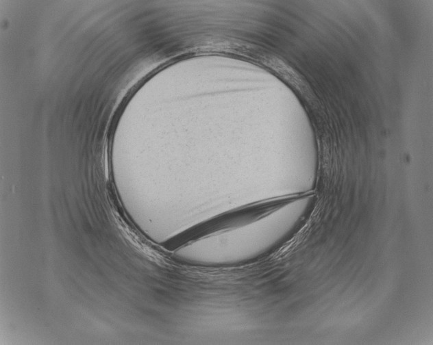 X0000076101036200610152338