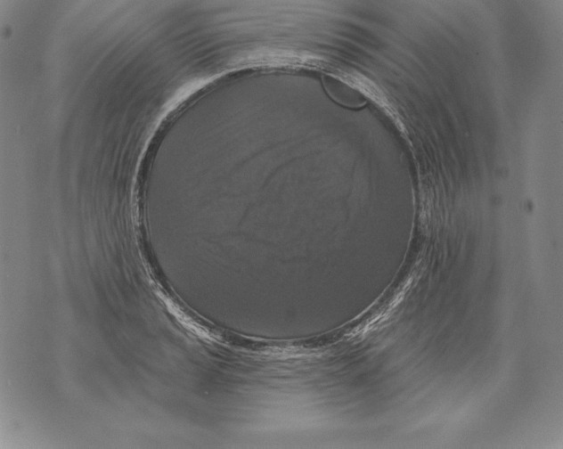 X0000076101037200610152338