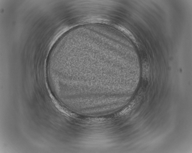 X0000076101039200610152338