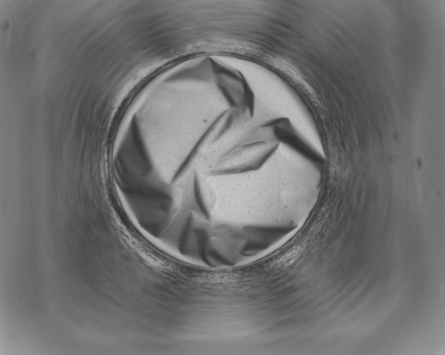 X0000076101040200610152338