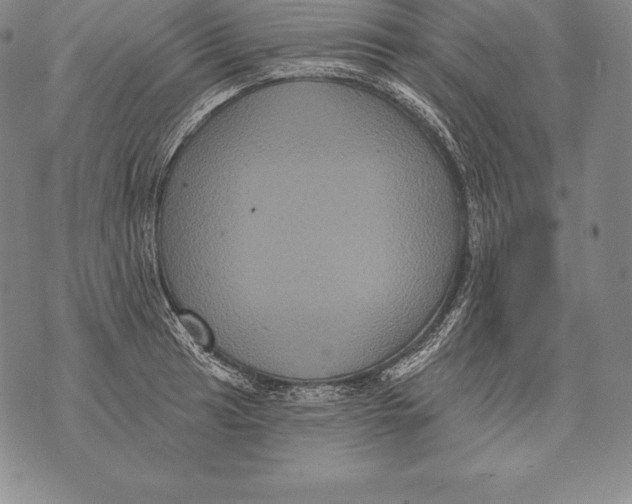 X0000076101041200610152338