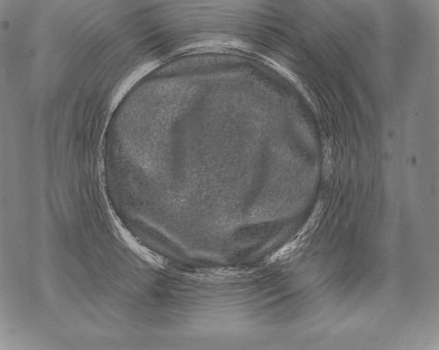 X0000076101042200610152338