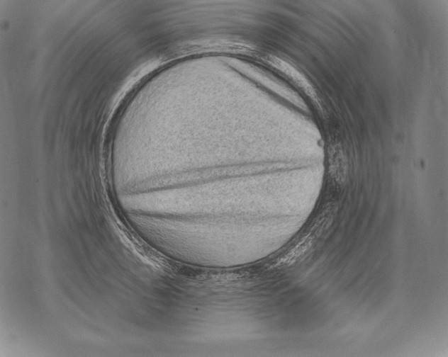 X0000076101043200610152338