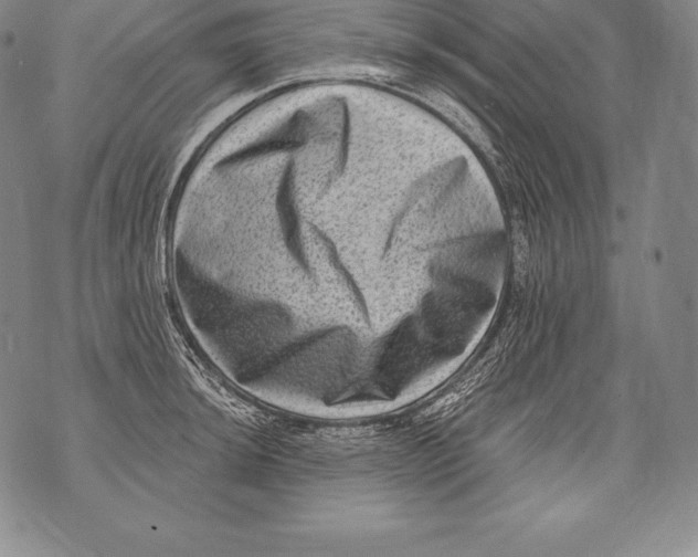 X0000076101044200610152338