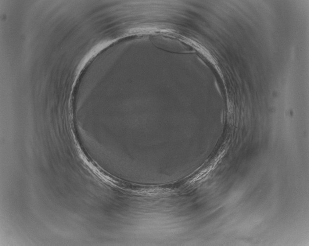 X0000076101045200610152338