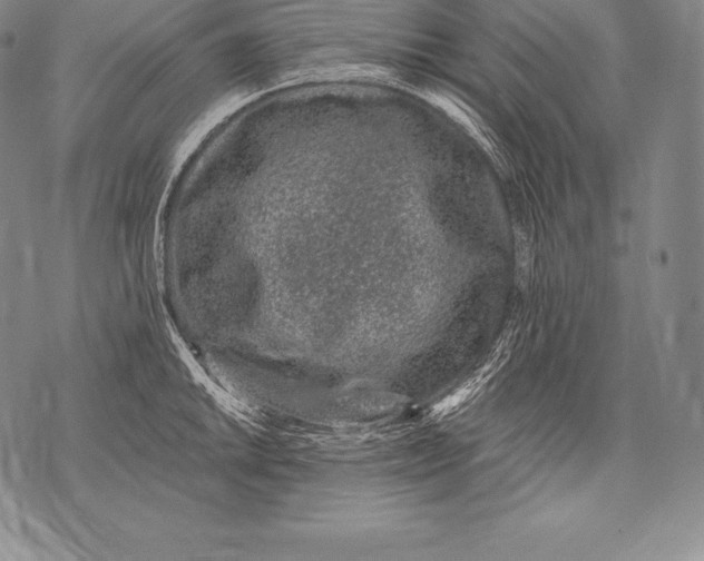 X0000076101046200610152338