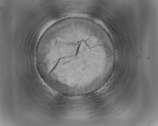 X0000076101048200610152338