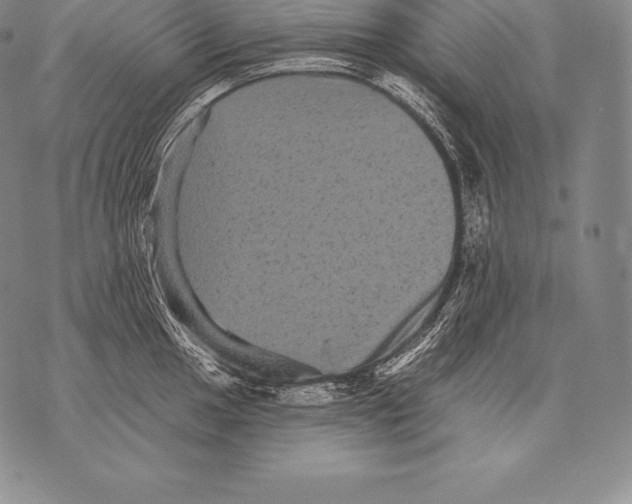 X0000076101049200610152338